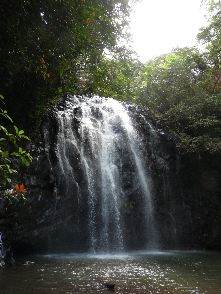 Ellinjaa Falls